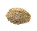 Aniseed