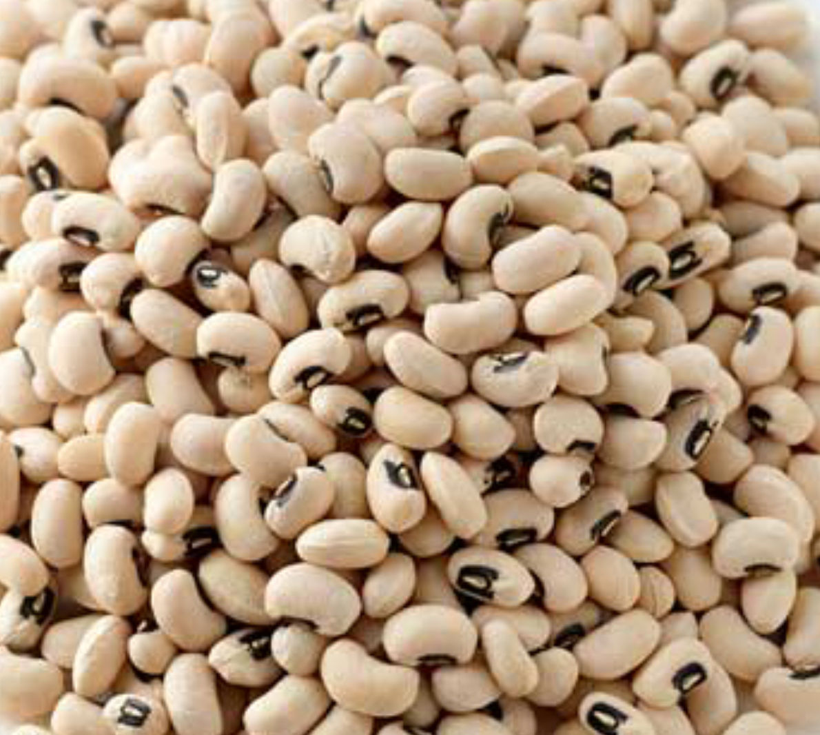 Black Eye Beans