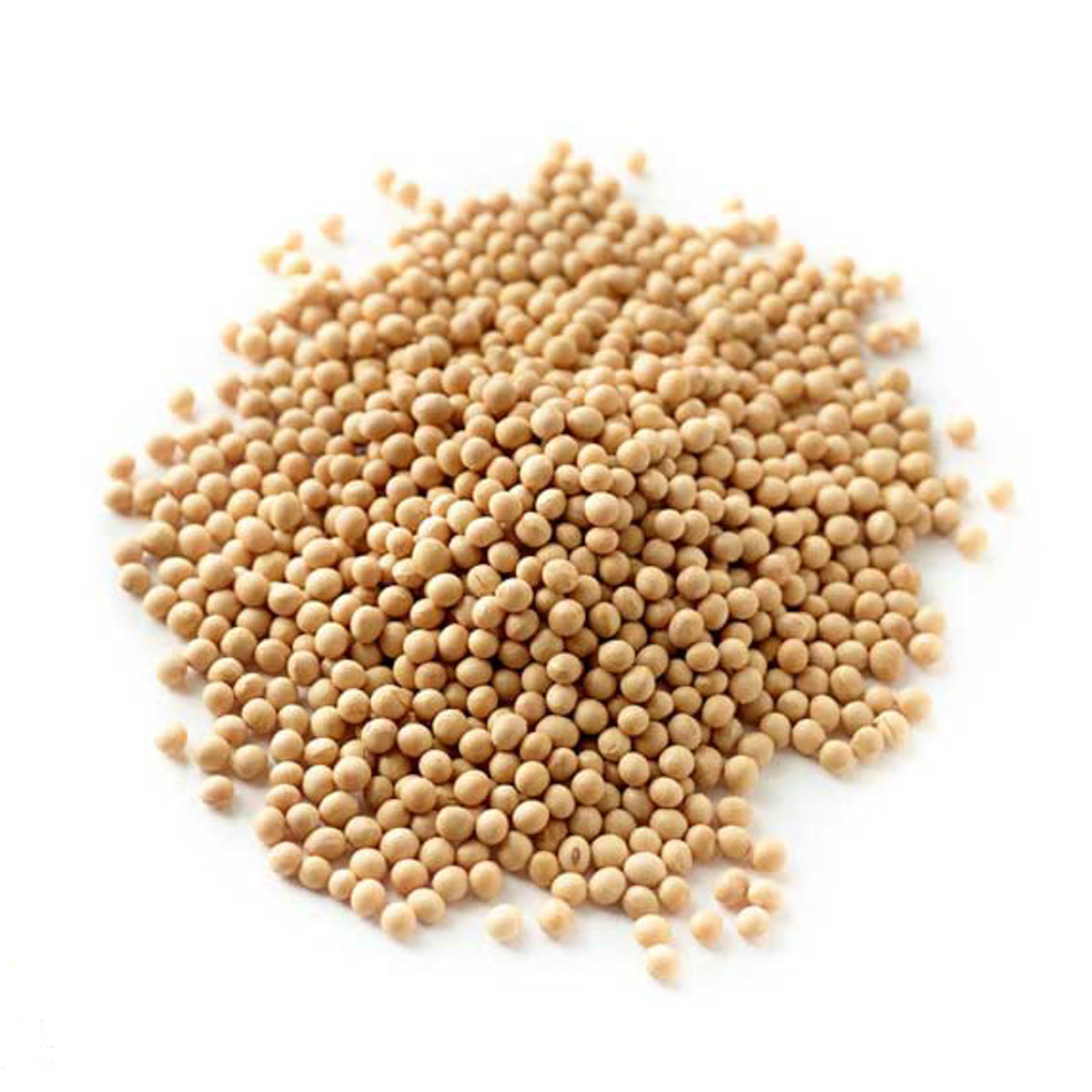 Soya Beans