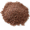 Red Lentils Whole