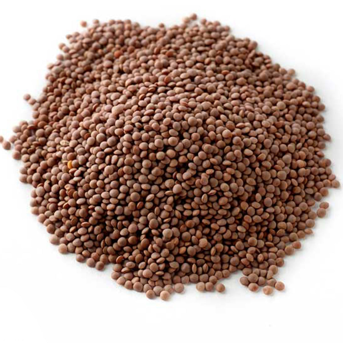 Red Lentils Whole