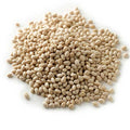Navy Beans