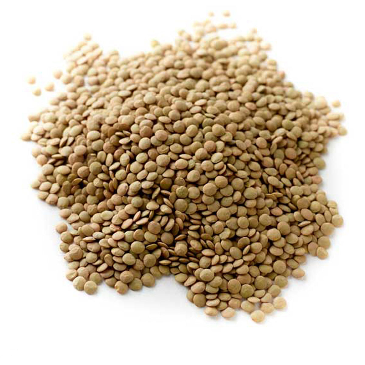 Green Whole Lentils