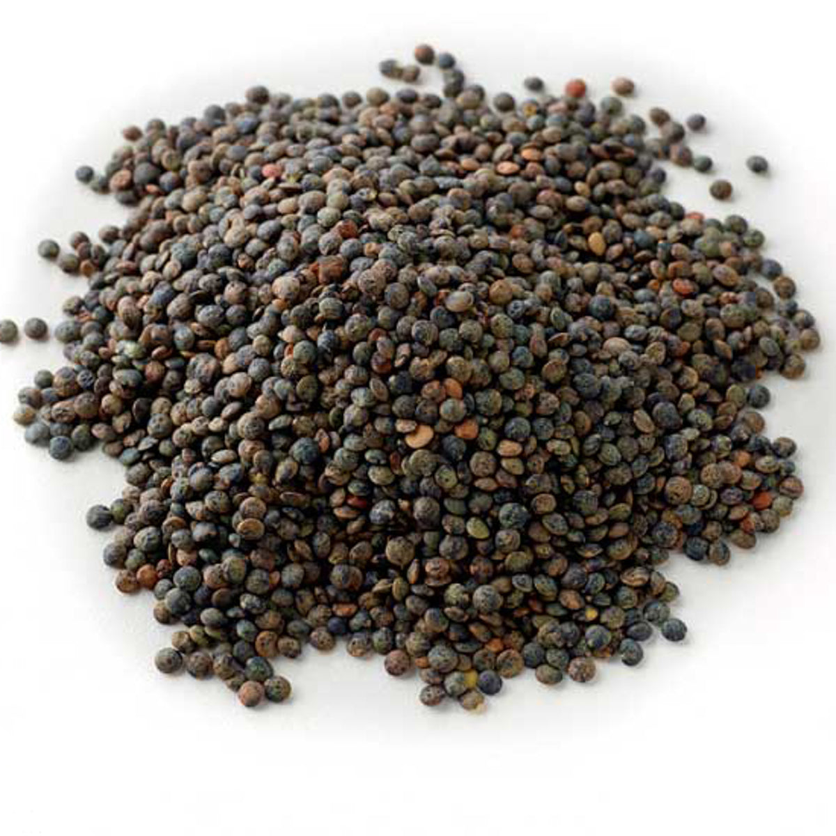 French Lentils