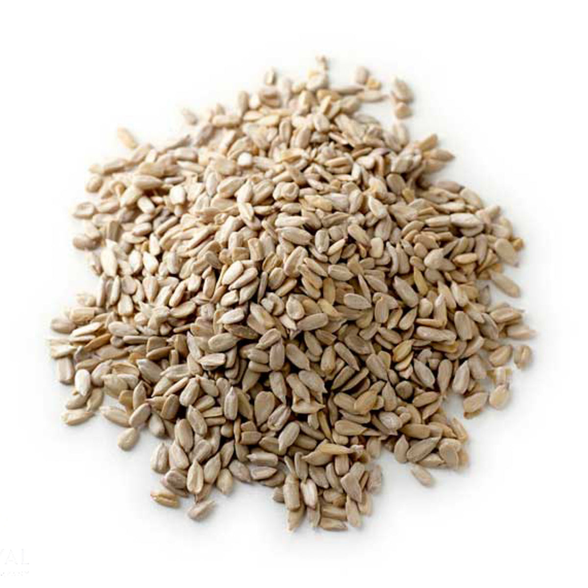 Sunflower Seeds