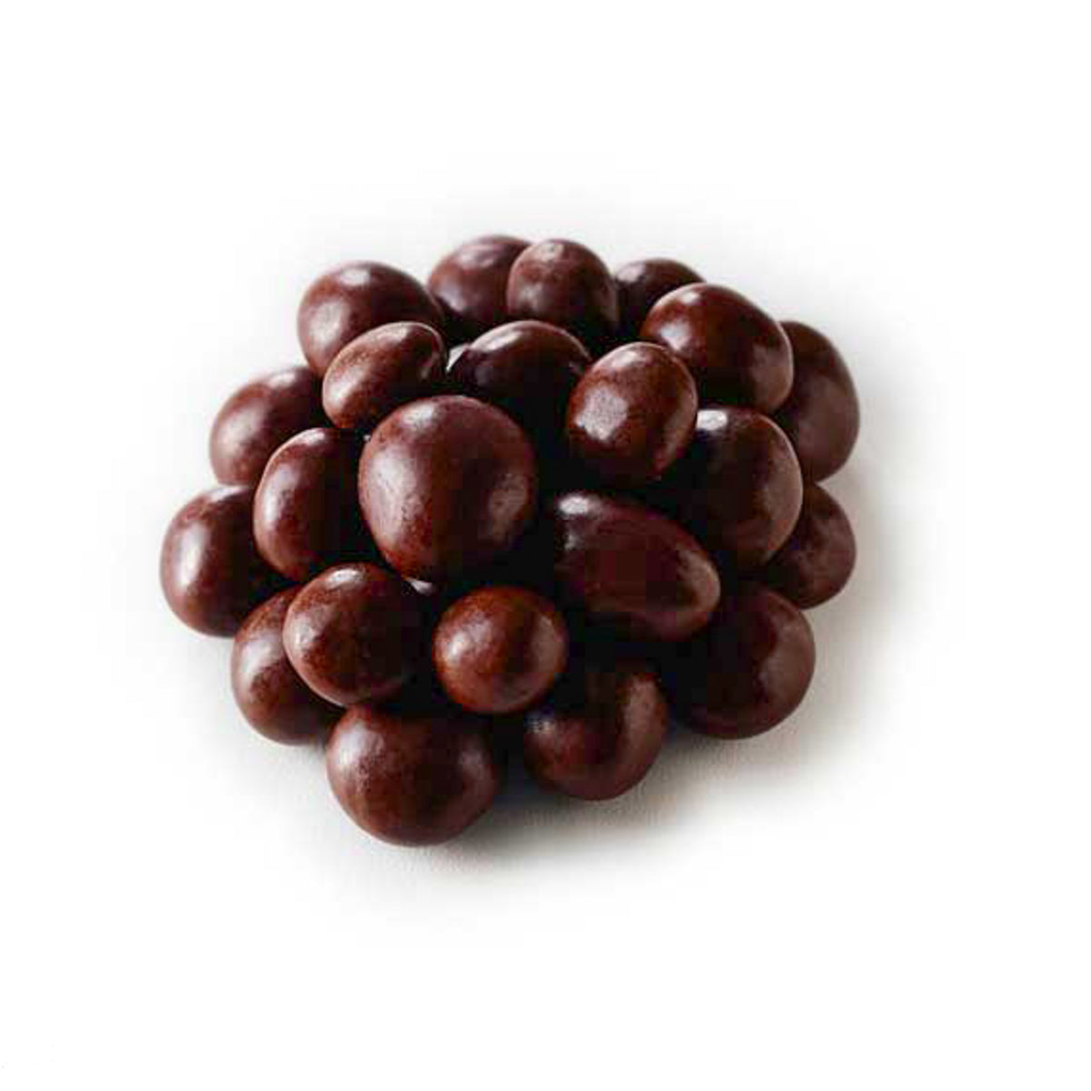 Dark Choc Ginger