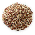 Quinoa Tri-Colour